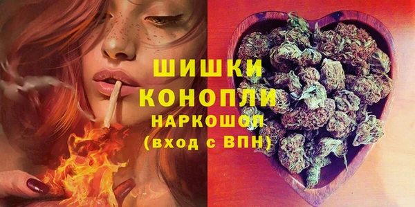 шишки Мегион