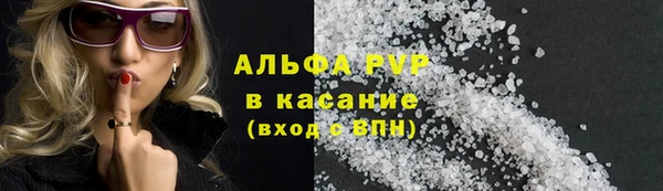 шишки Мегион