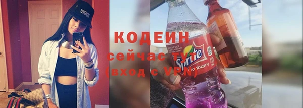шишки Мегион
